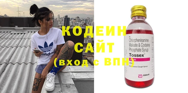 прущие грибы Гусиноозёрск