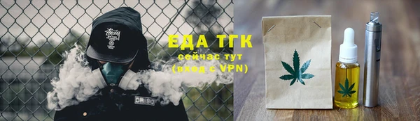 прущие грибы Гусиноозёрск