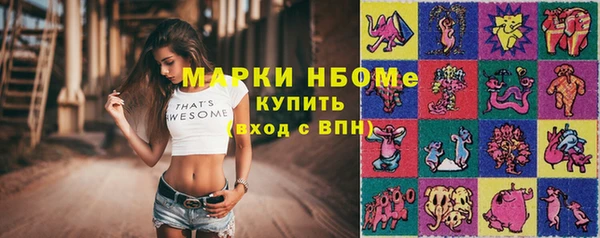 прущие грибы Гусиноозёрск