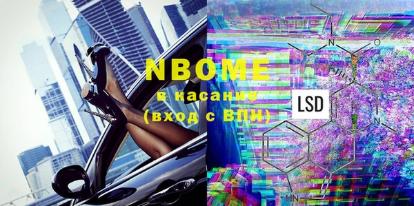 прущие грибы Гусиноозёрск