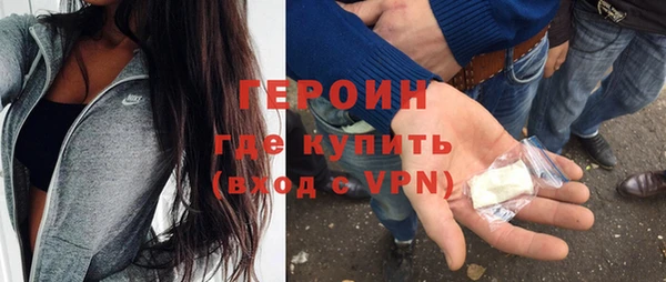 прущие грибы Гусиноозёрск